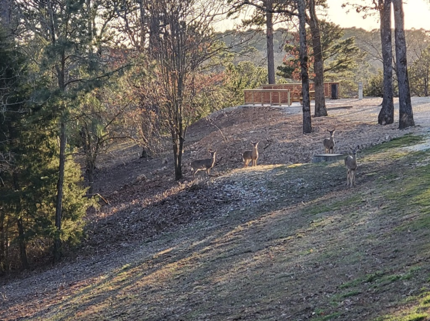 Photo Gallery Wanderlust RV Park in Eureka Springs, Arkansas